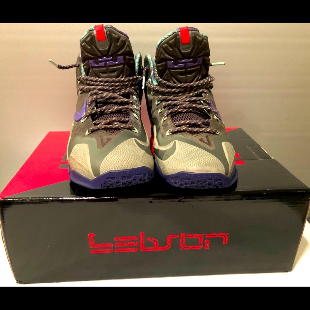 LeBron Nike XI 8.5